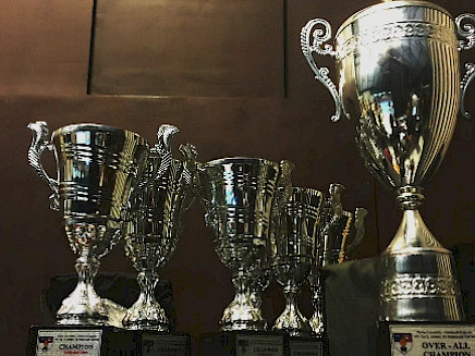 Online-Shop-Optimierung: Der Weg zum Erfolg durch gute Usability