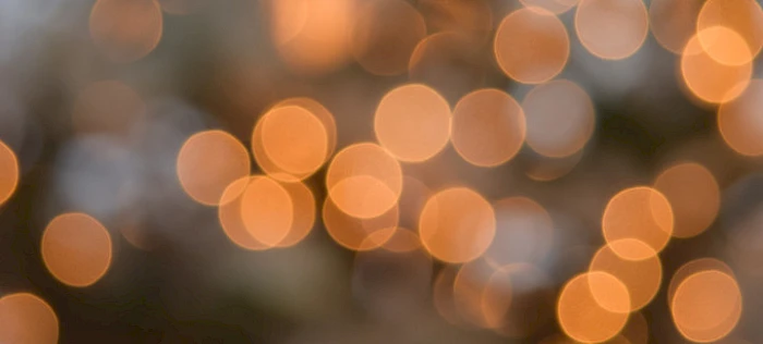 Weihnachts&shy;grüße und Neujahrs&shy;wünsche von Youbility Software