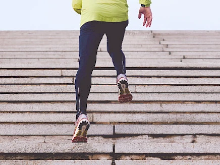 Such&shy;maschinen&shy;optimierung – Der Kampf um den ersten Platz bei Google, Bing, Yahoo und Co.