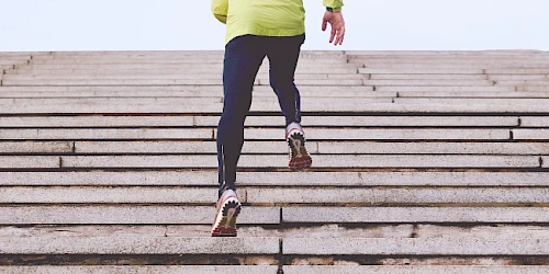 Such&shy;maschinen&shy;optimierung – Der Kampf um den ersten Platz bei Google, Bing, Yahoo und Co.